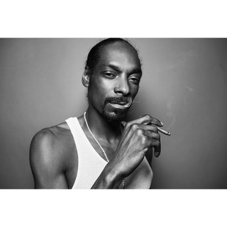 โปสเตอร์ สนูป ด็อกก์ Snoop Dogg Snoop Lion Poster แร็ปเปอร์ Rapper Hiphop ฮิปฮอป โปสเตอร์ ตกแต่งผนัง Music ตกแต่งบ้าน