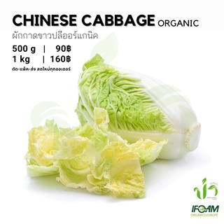 ภาพหน้าปกสินค้าผักกาดขาวปลีออร์แกนิค Organic Chinese Cabbage มาตรฐานผักออร์แกนิค IFOAM ผักสลัด ผักสด เก็บ-แพ็ค-ส่ง เก็บใหม่ทุกออเดอร์ ที่เกี่ยวข้อง