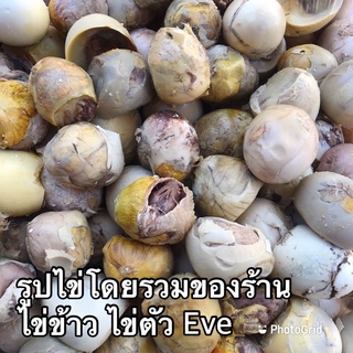 ภาพขนาดย่อของภาพหน้าปกสินค้าไข่ข้าว/ไข่ตัว นึ่งสุก(ไข่ไก่) จากร้าน oopip145 บน Shopee