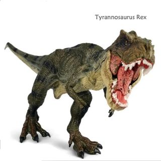 โมเดล Tyrannosaurus Rex
