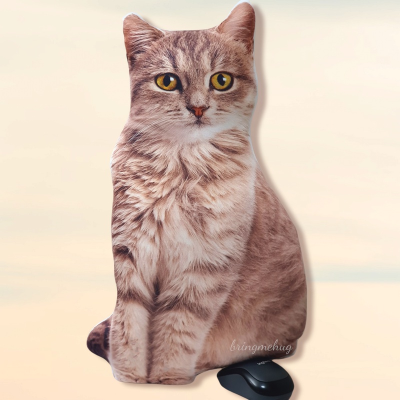 หมอนอิงพิมพ์ลายน้องแมว-british-shorthair-ขนาด-50ซม-หมอน3d-หมอน3มิติ-หมอนแมว-หมอนน่ารัก-หมอนแมวนุ่มนิ่ม-หมอนของขวัญ
