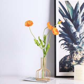 ภาพขนาดย่อของภาพหน้าปกสินค้าแจกันตกแต่งห้องนั่งเล่นโต๊ะตกแต่งดอกไม้แห้งดอกไม้ใส่ไฮโดรโปนิหัว Tube Vase Planter Iron glass test tube vase Nordic styl จากร้าน lifeisamaze บน Shopee ภาพที่ 5