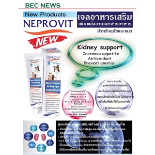 Neprovit เจลอาหารเสริม บำรุงไตสูตรพิเศษเพิ่มพลังงานและสารอาหาร ชนิดเจลสำหรับสุนัขและแมว 30กรัม