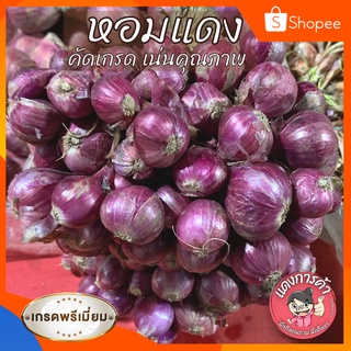 เช็ครีวิวสินค้า⚠️ ศรีสะเกษแท้ ตรงปกแน่นอน ครึ่งกิโล 💯 ⚠️ หอมแดงไทย มัดจุก คุณภาพดี เนื้อแน่น หัวสวย ตรายายแดง ครึ่งกิโล