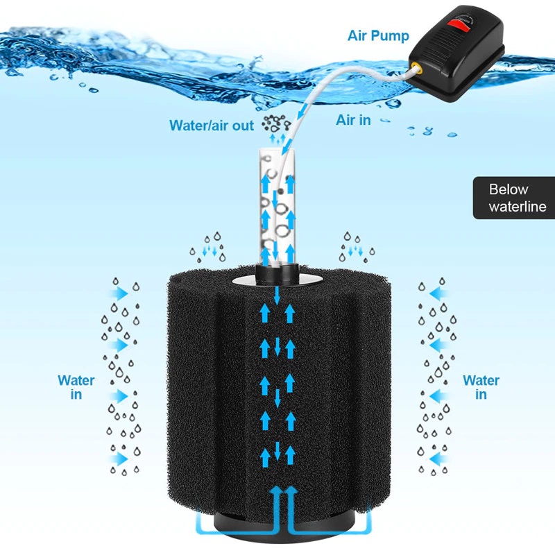 ภาพสินค้ากรองฟองน้ำ BONETAR XY-2836 (กรองฟองน้ำสำหรับกรองน้ำให้ใส ไม่ต้องถ่ายน้ำบ่อยๆ) จากร้าน smilepetshop บน Shopee ภาพที่ 6