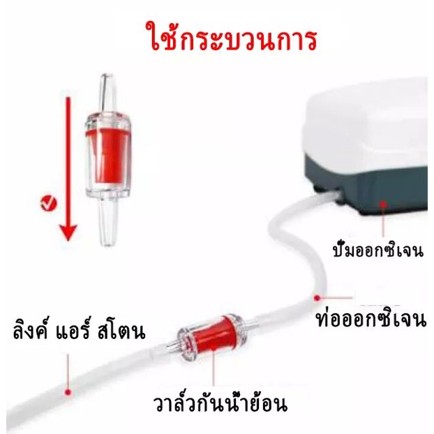 วาล์วกันย้อน-วาล์วกันน้ำย้อนกลับ-check-valve