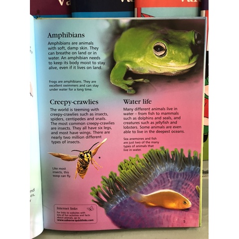 dktoday-หนังสือ-usborne-first-encyclopedia-of-animals