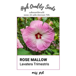เมล็ดดอกไม้ทานได้ Rose Mallow (Lavatera Trimestris)