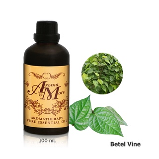 Aroma&amp;More Betel Vine Leaf 100% Pure Essential Oil, น้ำมันหอมระเหยใบพลู 100% Thailand 100ML