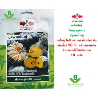 5 ฟรี 1 คละได้ เมล็ดพันธุ์ ฟักทองลูกผสม ปฐพีผลใหญ่ ตราศรแดง เมล็ดผัก เมล็ดพันธุ์พืช  เมล็ดพืช เมล็ดพันธุ์ผัก