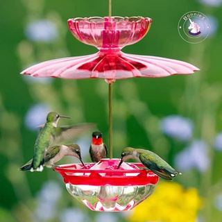 Hummingbird Feeder เครื่องให้อาหารนกพลาสติกกันน้ําสําหรับทํากิจกรรมข้างนอก