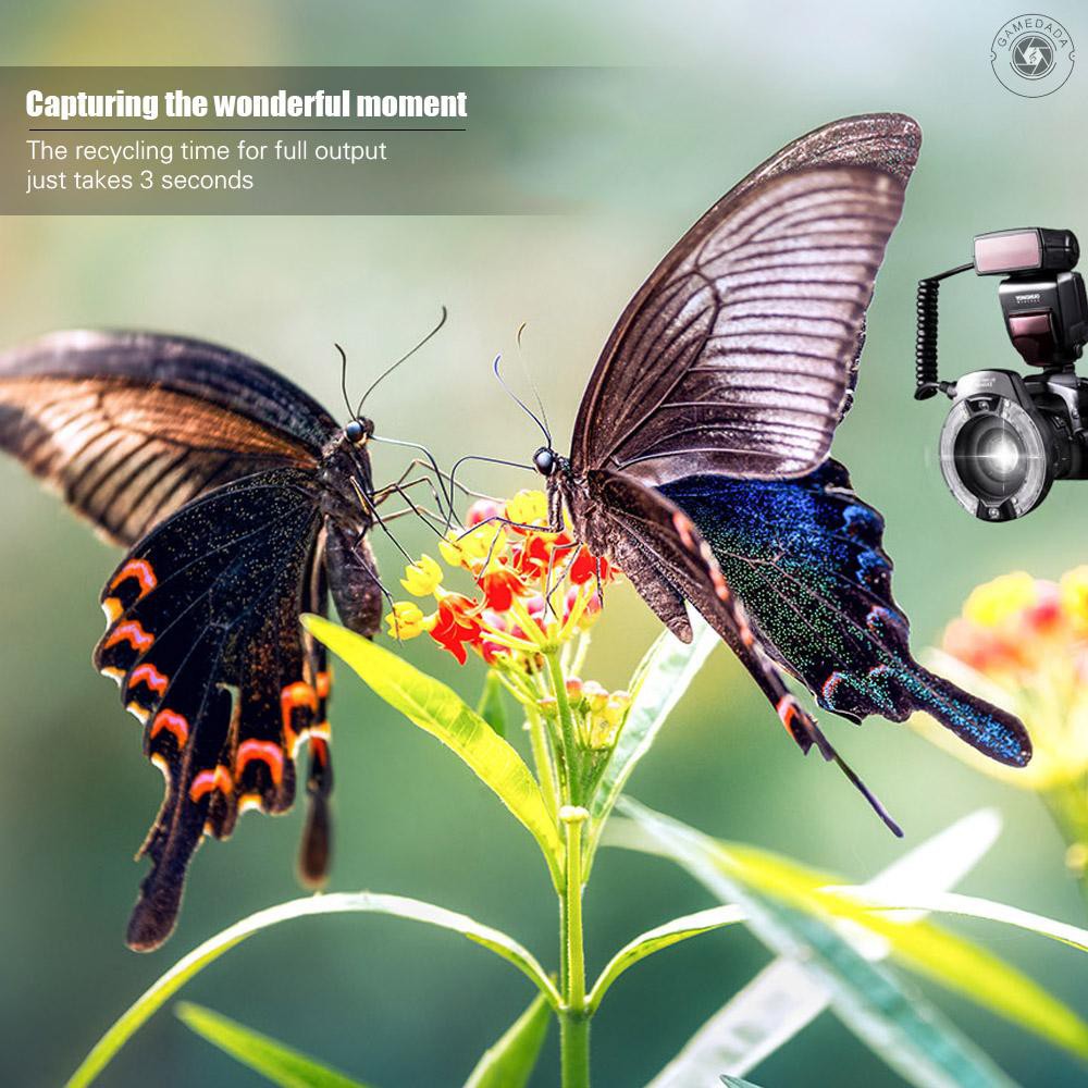 yongnuo-yn-14ex-ii-macro-ring-lite-for-canon-สำหรับถ่ายพระ-ถ่ายเเมลง-ถ่ายสินค้า