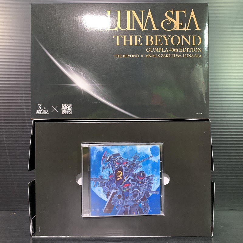 Luna Sea The Beyond Gunpla 40th Edition The Beyond x MG 1