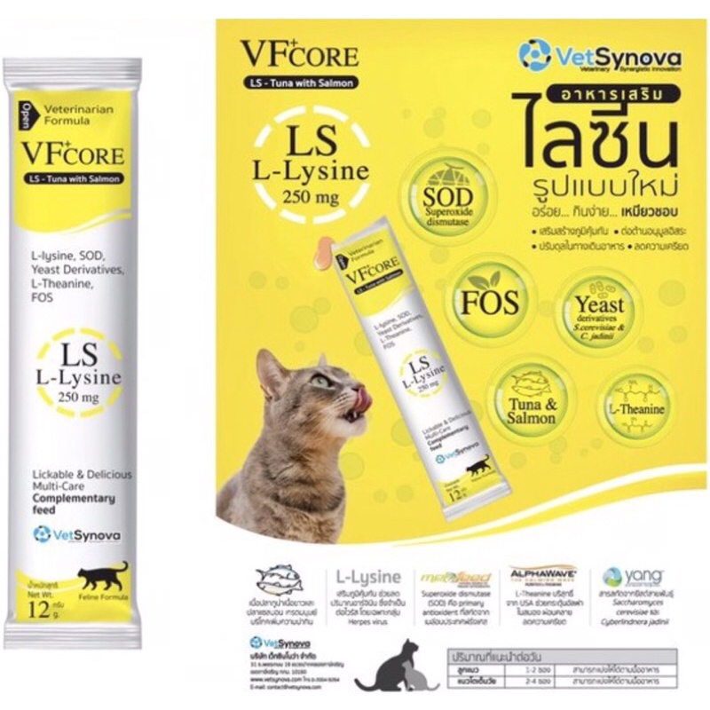 vfcore-อาหารเสริม-l-lysine-เสริมภูมิคุ้มกัน-เสริมการรักษาไข้หวัดแมว