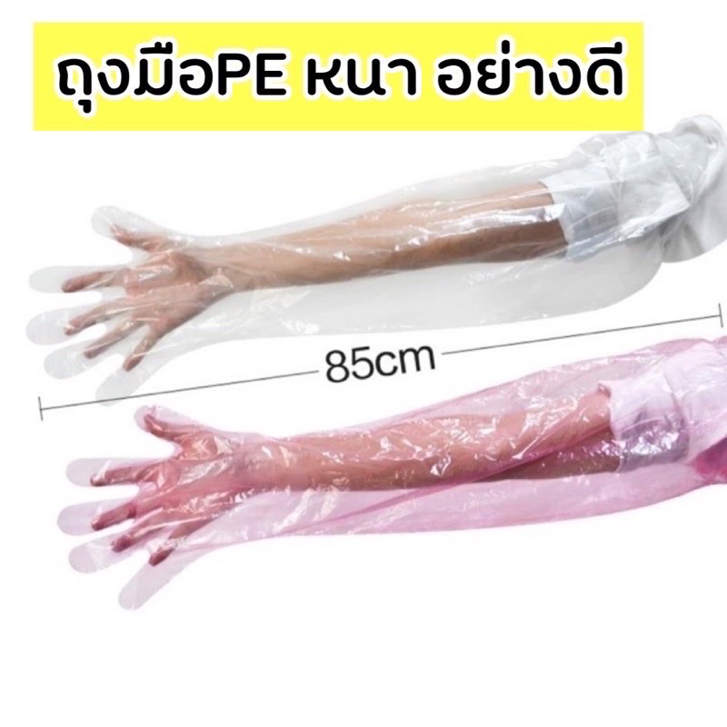 รูปภาพของถุงมืPE glove ยาวถึงหัวไหล่อย่างดี เหนียว ยืดหยุ่นสูง ถุงมือผสมเทียมลองเช็คราคา