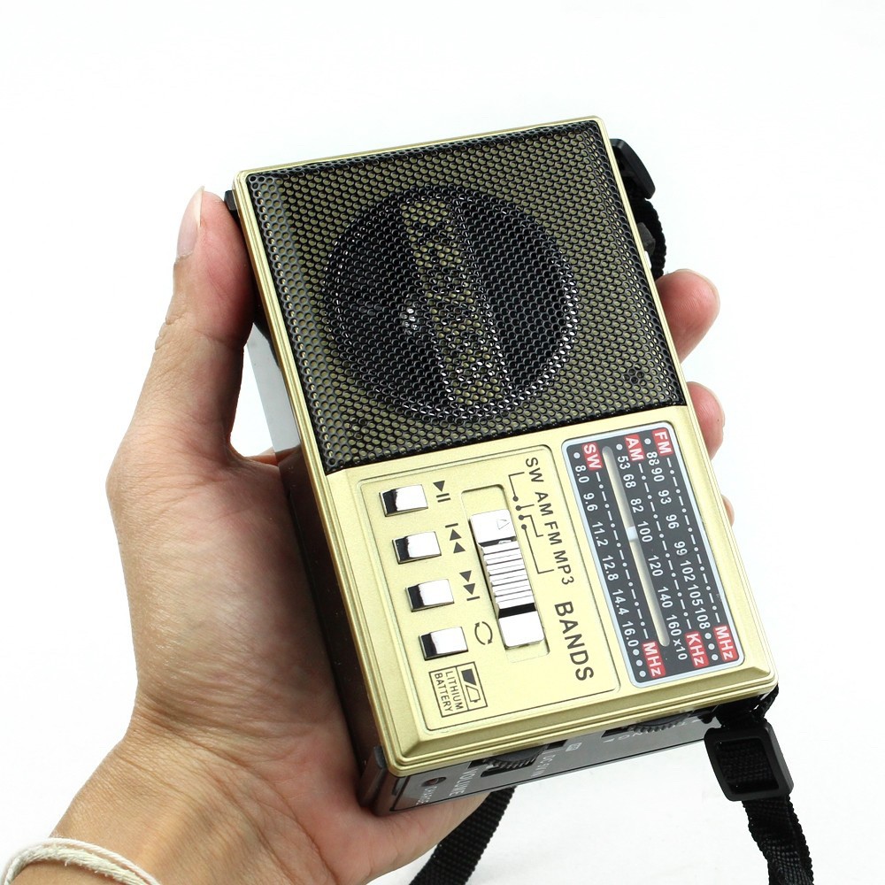 ภาพสินค้าPAE วิทยุ AM/FM รุ่น PL-0012U มีไฟฉาย (คละสี) จากร้าน grabnlife บน Shopee ภาพที่ 3