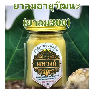 ลมอายุวัฒนะ ยาลม300จำพวก ยาลม 50 กรัม ใส่ขวด