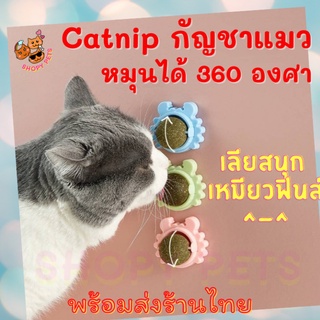 สินค้า Catnip กัญชาแมว ออร์แกนิค ลูกบอลแมว แคทนิป ของเล่นแมว บอลcatnip แบบเลีย แมว CATNIP 1