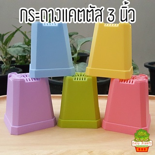 กระถาง แคตตัส พืชอวบน้ำ ชนาด 3 นิ้วพลาสติก รุ่นใหม่ สีพาสเทล น่ารักมากจ้า กระถางน่ารัก กระถางพร้อมส่ง กระถางพลาสติก