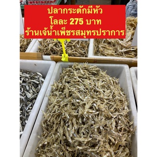 ภาพหน้าปกสินค้าปลากระตักมีหัวทะเลอ่าวไทย ที่เกี่ยวข้อง