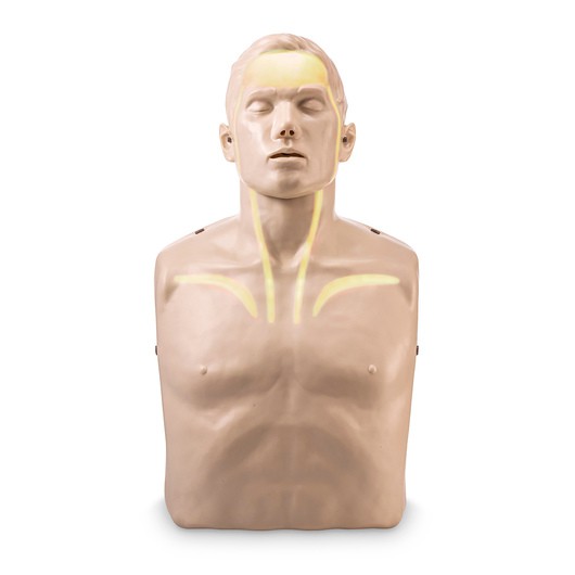 brayden-u-s-a-manikin-adult