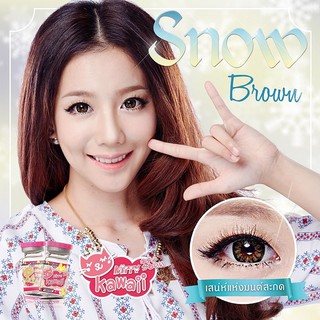 Snow Brown (1)(2) Kitty Kawaii บิ๊กอาย สีน้ำตาล ตัดขอบดำ น้ำตาล คอนแทคเลนส์ ตาโต แบ๊ว Contact Lens แฟชั่น ค่าสายตา