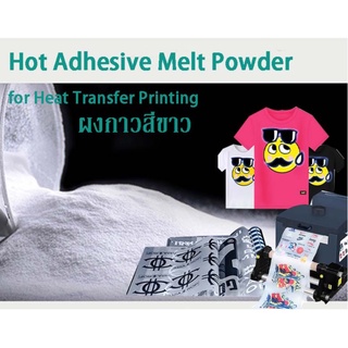 ภาพหน้าปกสินค้าผงกาว สำหรับเครื่องพิมพ์ DTF Hot Adhesive Melt Powder for Heat Transfer Printing 1KG ที่เกี่ยวข้อง