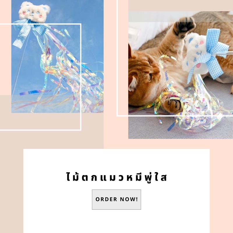 ไม้ตกแมวขนนก-ไม้ตกแมวหมีพู่ใส