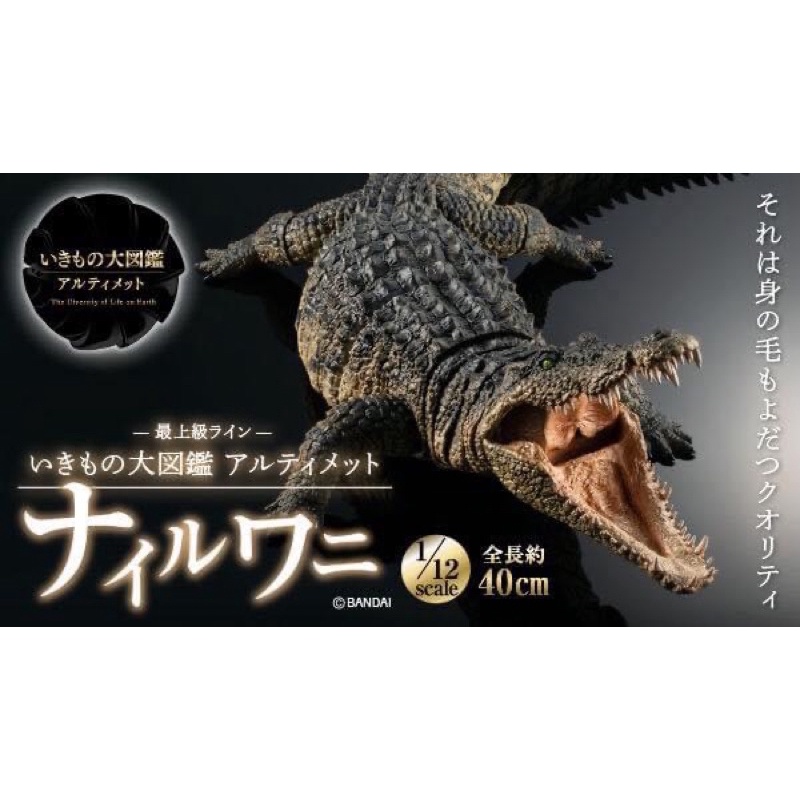 ikimono-encyclopedia-nile-crocodile