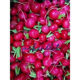 เช็ครีวิวสินค้าRed radish​ ผลเรดแรดิช หัวไชเท้าแดง 500g&1000g