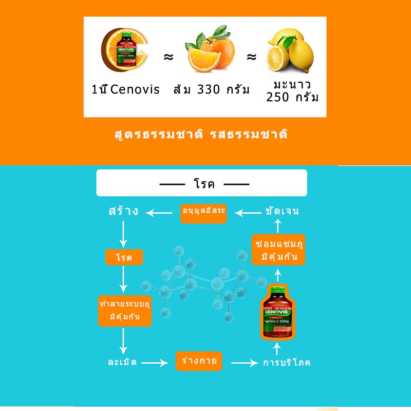 2308-แท้จริง-นำเข้าวิตามินซีเม็ดเคี้ยวปราศจากน้ำตาล-vc-เม็ดวิตามินซี-300-เม็ด-cenovis-sugarless-vitamin-c-500mg