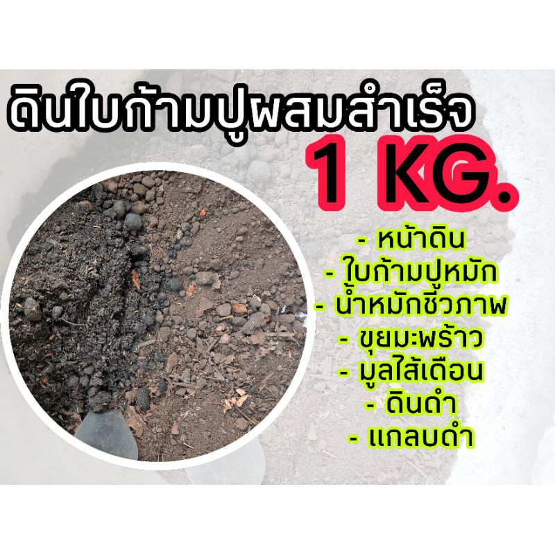 รูปภาพของดินปลูกต้นไม้ หนัก1KG ดินดีถูกใจต้นไม้ ผสมใบก้ามปูสูตรใหม่ล่าสุดลองเช็คราคา