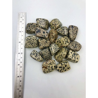ภาพขนาดย่อของภาพหน้าปกสินค้า1 pc Natural Dalmatian Jasper 2-3 cm Polished Tumble Stone / Top High Quality Stone / Pocket Stone Healing Chakra. จากร้าน lapisbkk บน Shopee ภาพที่ 1