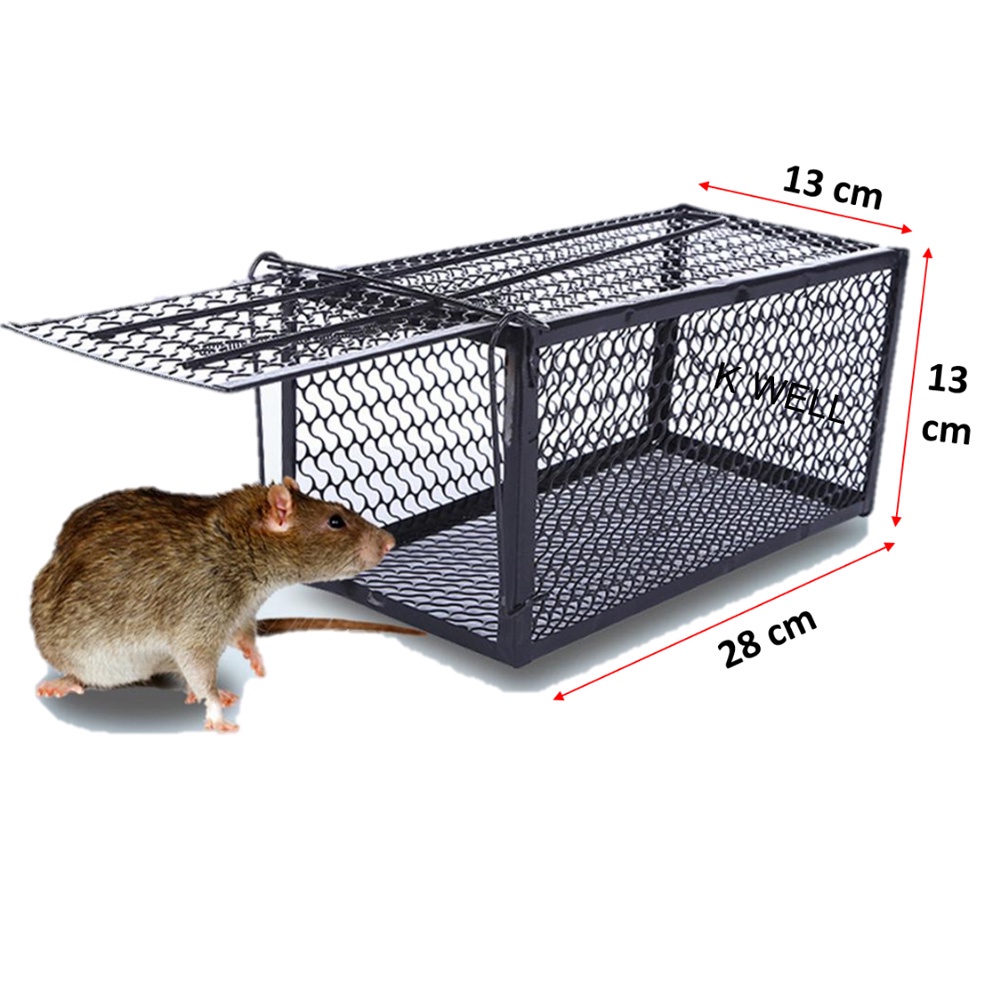 กรงดักหนู-rat-trap-ดักได้ดักง่ายไม่ต้องฆ่า-กับดักหนูแบบเกี่ยวเหยื่อ