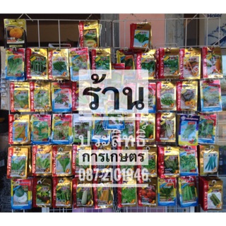 ภาพหน้าปกสินค้าเมล็ดพันธุ์ผัก กินผล2 ซื้อ 10 แถม1 ยี่ห้อ เจียไต๋, ศรแดง, ปลาวาฬ, AAA ,333 เมล็ดผัก ซึ่งคุณอาจชอบสินค้านี้