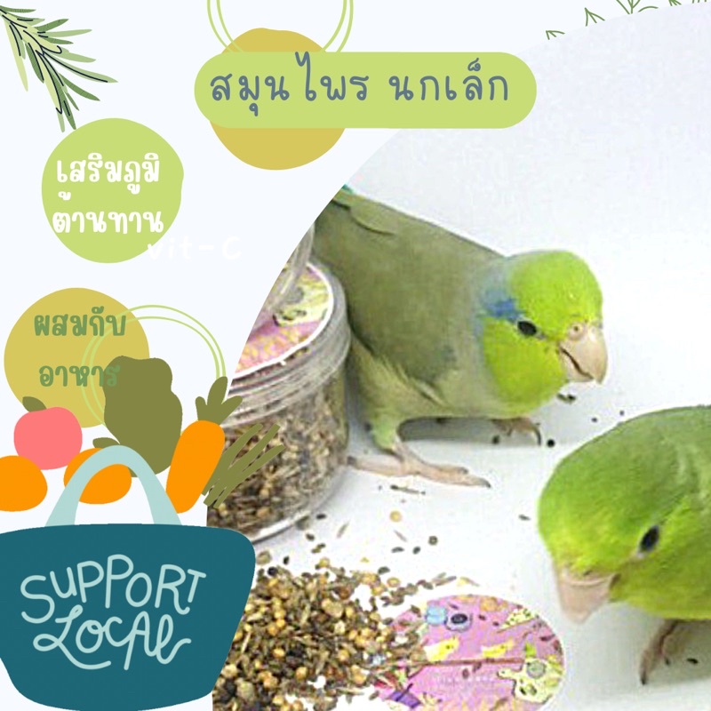 สมุนไพร-นก-duvo-health-seed-mix-ล็อตใหม่นี้แม่ว่าฮวยมั้วเยอะมากเลยค่ะบ้านไหนไม่ได้ให้ทาน-อย่าสั่งนะคะ