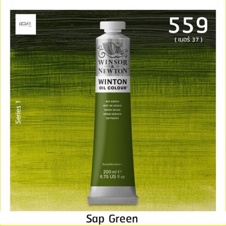 สีน้ำมัน Winsor and Newton 200 ml ( เบอร์ 37 ) สี 599 Sap Green