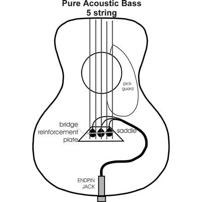 k-amp-k-pure-bass-5-string-pickup