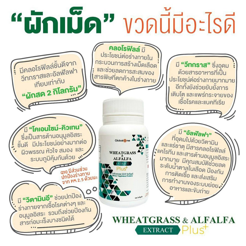 ภาพสินค้าผักเม็ด เสริมภูมิคุ้มกัน Wheatgrass & Alfalfa Extract Plus จากร้าน marketthink บน Shopee ภาพที่ 3