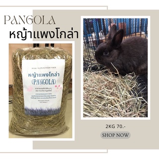 สินค้า หญ้าแพงโกล่าแห้ง ถุงใหญ่ 2 กิโลกรัม (Pangola grass 2 kg)