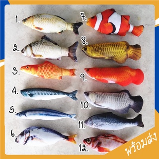 ภาพหน้าปกสินค้าMITI4 Catnip Fish Doll ถูกสุด พร้อมส่ง ทุกลาย!! ปลาแคทนิป ของเล่นแมว ตุ๊กตา ปลาแมวฟิน ขนาด 20 ซม. COD MIP0026 ที่เกี่ยวข้อง