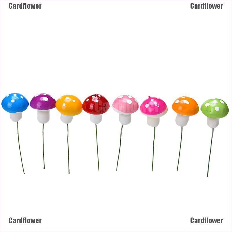 cardflower-กระถางต้นไม้-รูปเห็ด-ขนาดเล็ก-หลากสี-สําหรับตกแต่งสวน-diy