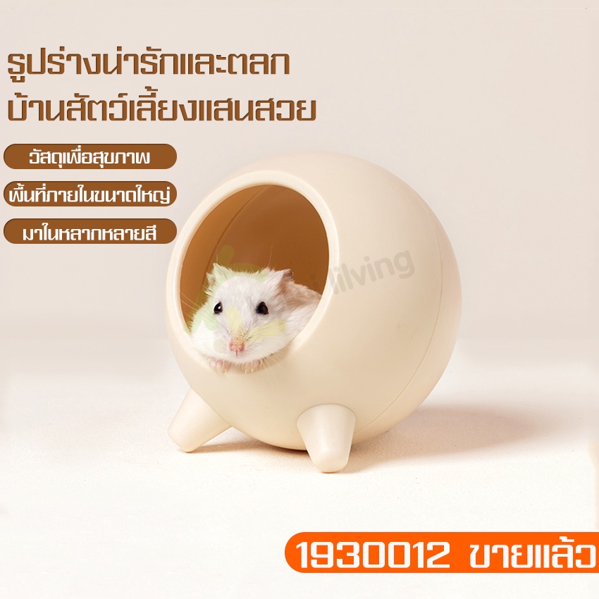 บ้านหลังเล็ก-บ้านหนูแฮมเตอร์-ของเล่นหนูแฮมเตอร์-บ้านโดม-เย็นสบาย-ที่นอนแฮมเตอร์-ที่นอนหนู-บ้านหลบแฮมสเตอร์-บ้านหนูวงกลม