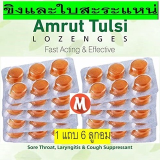 Amrut Tulasi Ginger &amp; MInt กระเพรา ขิงและสะระแหน่ ลูกอม 1 แถบ 6 ลูกอม