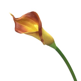 ดอกคาล่าลิลลี่ Artificial Calla lily สีส้ม ดอกไม้ประดิษฐ์เกรดพรีเมี่ยม งานพียู สวยเหมือนจริง