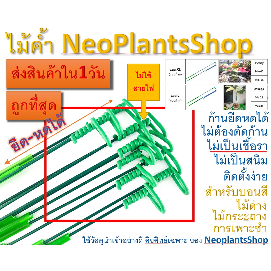 ภาพหน้าปกสินค้าไม้ค้ำบอนสี ก้านเดี่ยว ก้านยืดหดได้ ตามความสูงต้นไม้ ไม้ค้ำ ต้นไม้ แต่งสวน อุปกรณ์ ไม้กระถาง ไม้ด่าง ไม้ประดับ บอนสี จากร้าน aneksuwannaphoom บน Shopee