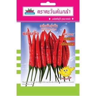 เมล็ดพันธุ์ พริก แซ่บจัง 1 กรัม/ซอง ตราตะวันต้นกล้า