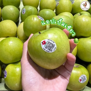 แอปเปิ้ลเขียว 🍏✨นิวซีแลนด์🇳🇿 (5 ลูก/ แพ็ค) ลูกสดใหม่ หวาน กรอบบ