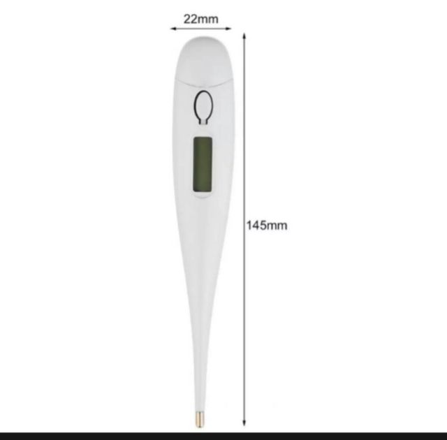 ปรอทวัดไข้-ปรอทวัดไข้เด็ก-ที่วัดไข้-ที่วัดไข้ดิจิตอล-digital-thermometer-ดิจิตอลเทอร์โมมิเตอร์-วัดอุณภูมิ-วัดไข้