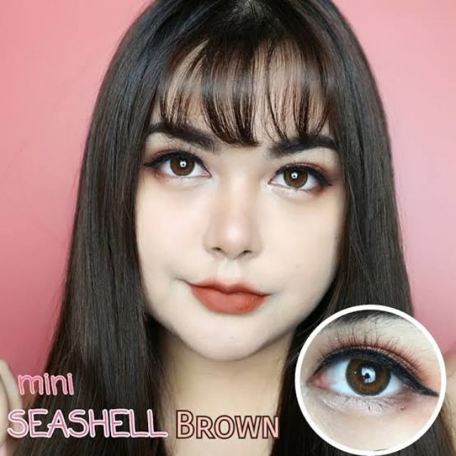 kitty-kawaii-big-seashell-seeshell-สายตา-00-ถึง-1000-brown-gray-contactlens-บิ๊กอาย-คอนแทคเลนส์